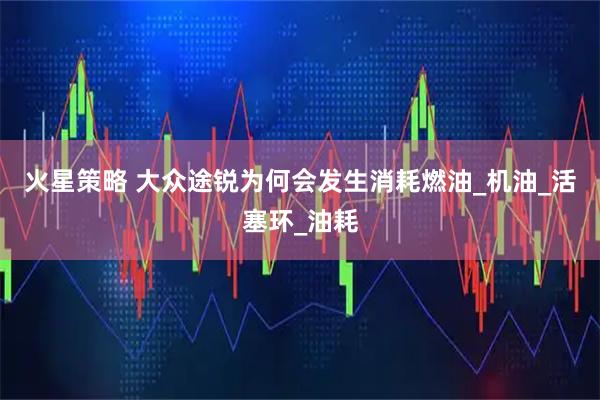 火星策略 大众途锐为何会发生消耗燃油_机油_活塞环_油耗