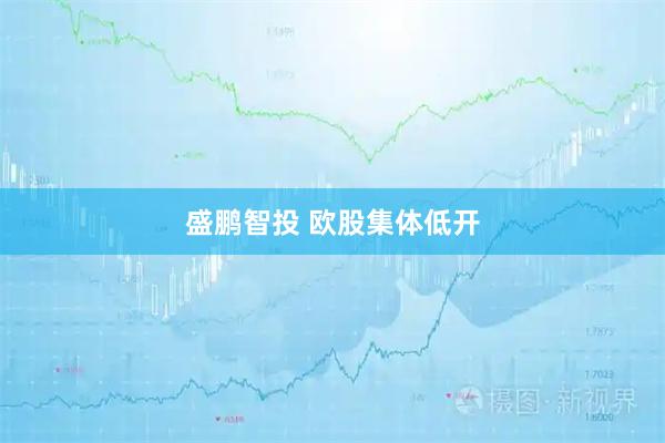 盛鹏智投 欧股集体低开
