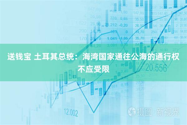 送钱宝 土耳其总统：海湾国家通往公海的通行权不应受限