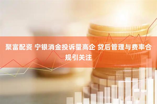 聚富配资 宁银消金投诉量高企 贷后管理与费率合规引关注