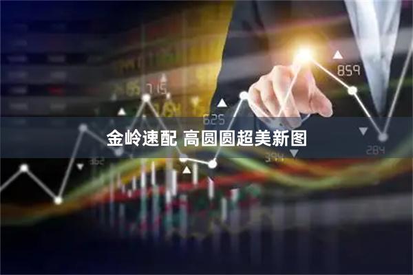 金岭速配 高圆圆超美新图