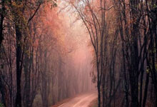 股票软件的app:选股票的基本方法和技巧-两部门发布划转充实社保基金国有股权及现金收益运作管理税收政策